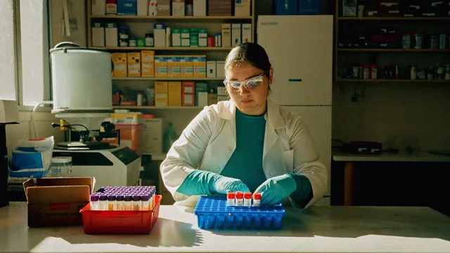 Laboratorio